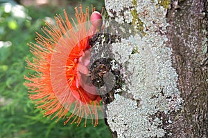 Botanical garden photo